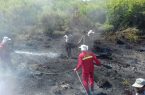 آتش سوزی در میانکاله, ۱۱ هکتار از اراضی را سوزاند