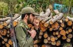 کشف چوب جنگلی قاچاق در بهشهر