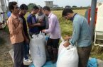 خودکفایی ایران در تولید برنج