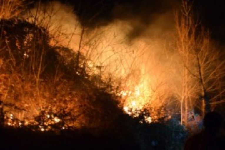 جان باختن فعالان محیط زیست در آتش سوزی جنگل مریوان