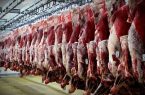 توزیع گوشت گرم گوسفندی در مازندران با قیمت ۳۷۵۰۰ تومان