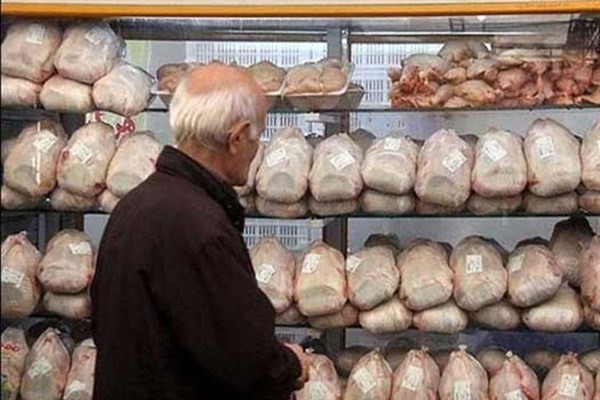 علت افزایش ۳ هزارتومانی قیمت مرغ در مازندران چیست؟