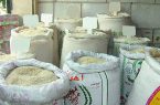 افزایش قیمت برنج؛ به نام کشاورزان به کام دلالان !