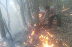 شش هکتار از جنگل بردنا گلوگاه در آتش سوخت