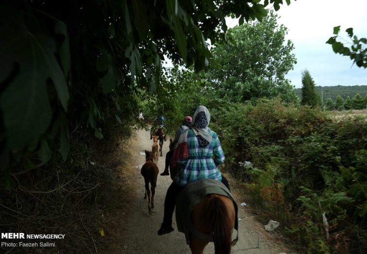 زندگی در کنار پرورش اسب کاسپین در یکی از روستاهای مازندران / تصاویر