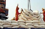 ممنوعیت واردات برنج به صحن مجلس می رود