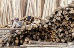 باید با واردات چوب مشکل صنایع چوب و کاغذ را حل کنیم