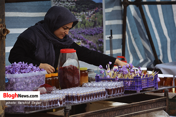 تصاویری از جشنواره زعفران در هزارجریب