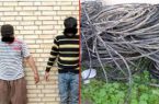 سارقان ۴۰ فقره سرقت سیم برق در خلیل شهر مازندران دستگیر شدند