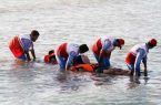 آیا سه جوان غرق شده در سواحل مازندران، به سبک نهنگ آبی خودکشی کرده اند ؟