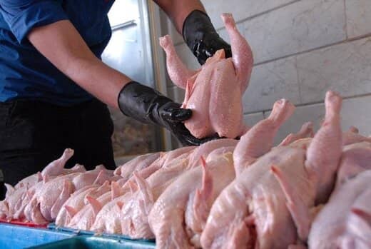 کاهش شدید قیمت مرغ در بازار