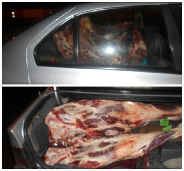 خودروی حامل گوشت قاچاق در بهشهر زمین گیر شد