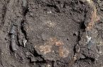 جزئیات کشف اسکلت کودک ۱۲ هزار ساله در غار هوتو بهشهر