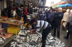 ماجرای فروش ماهی ۶ میلیون تومانی در بازارهای مازندران چیست ؟