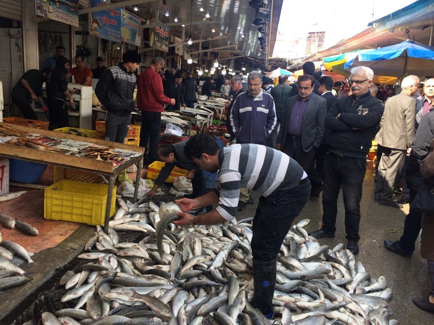 ماجرای فروش ماهی ۶ میلیون تومانی در بازارهای مازندران چیست ؟
