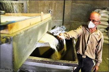 کاهش محسوس قیمت برنج در مازندران