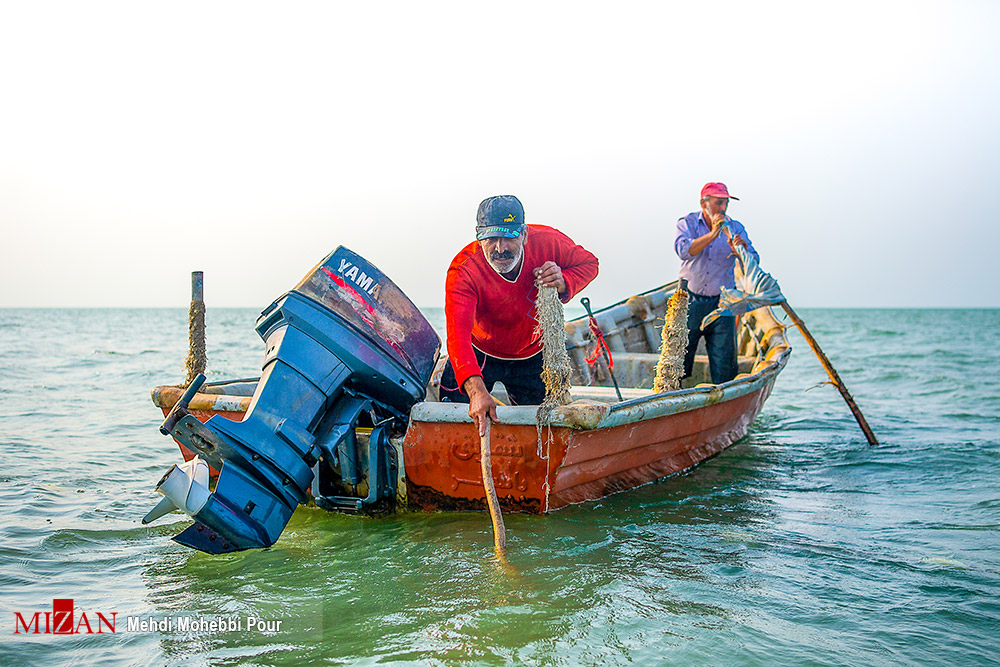 آغاز فصل صید ماهی در دریای مازندران
