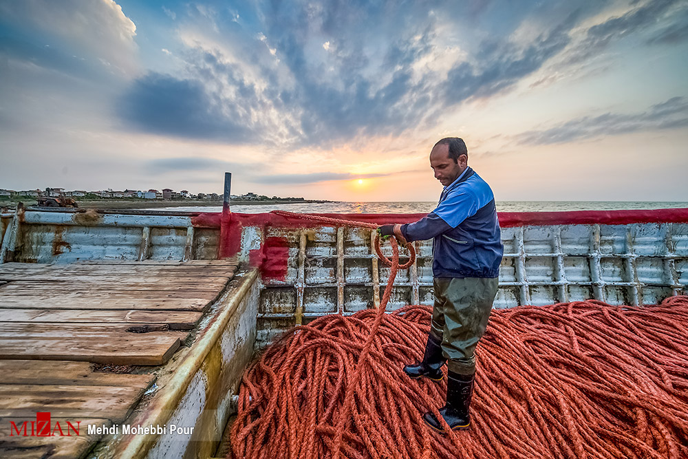 آغاز فصل صید ماهی در دریای مازندران