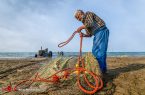 آغاز فصل صید ماهی در دریای مازندران / عکس