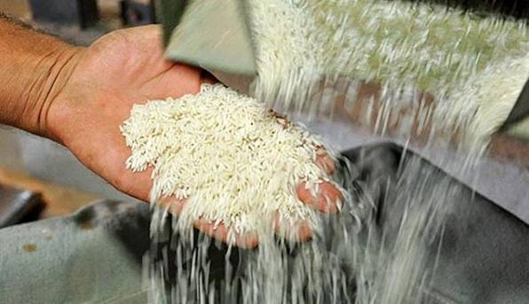 نرخ خرید برنج توافقی در مازندران اعلام شد