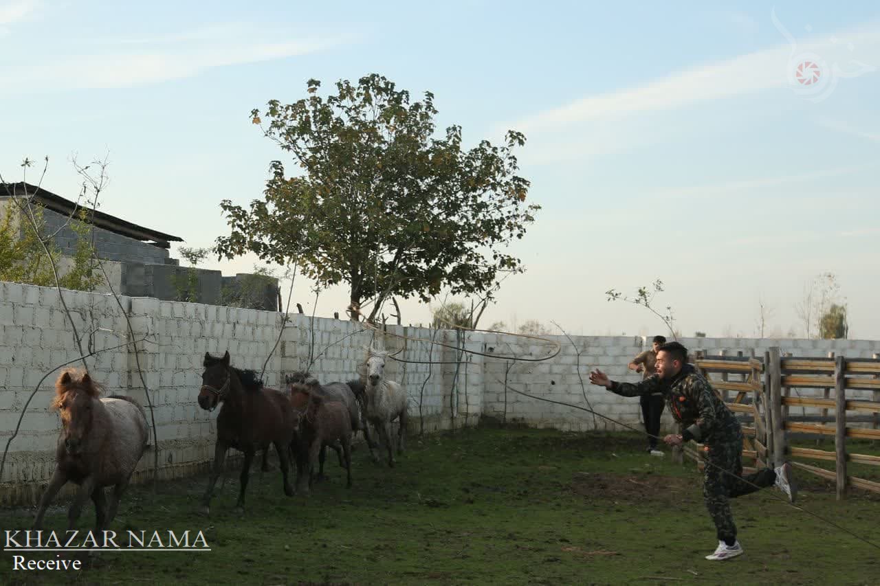 تصاویری از مراسم ثبت ملی اسب کاسپین در آمل